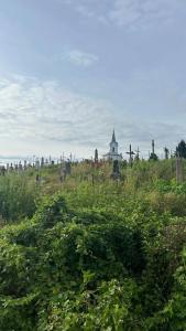 Славянская - 48