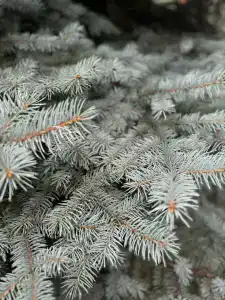 Butik-Otel "zvezdny Dom" - 10