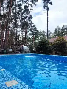 Донской лес - 36