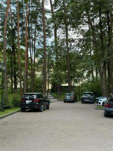 Кронон Парк - 95