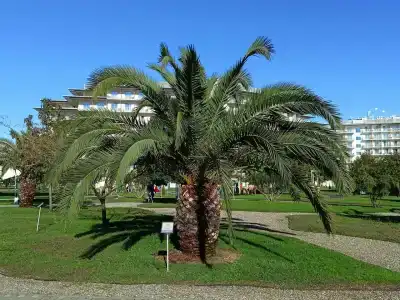 Сочи Парк - 63