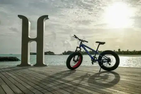 Heritance Aarah-Premium All Inclusive - 31
