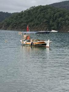 Dedeminn Marina - 12