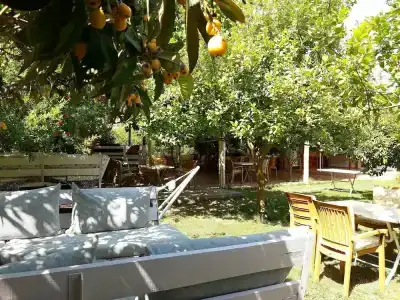 Sunset Boutique & Apartments - 13