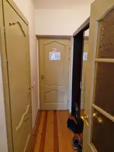 Belovezhskaya pushcha №2 - 72