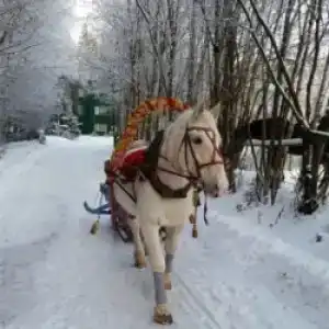 Solontsovo - 64