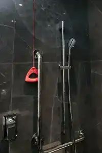 Cosmos Selection Saint-Petersburg Italyanskaya - 60