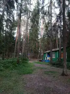 Zaliv - 91