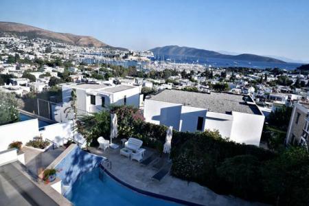 The Flag Suites - 11