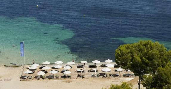 Melia Calviá Beach - 63