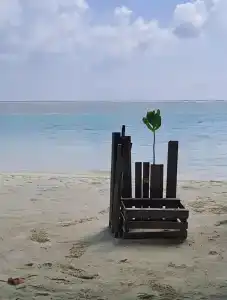 Rashu Hiyaa - 17