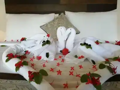 Amaluna Resorts - 10