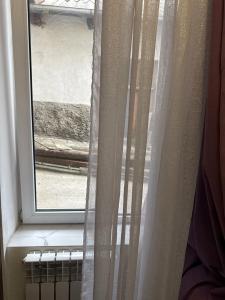 Bella Donna - 19