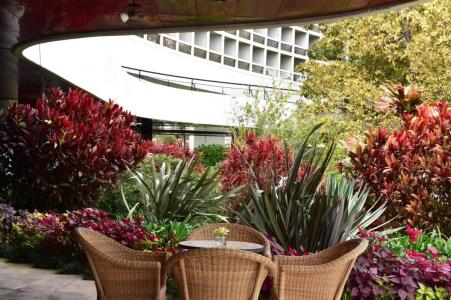 Pestana Casino Park Ocean and SPA - 9