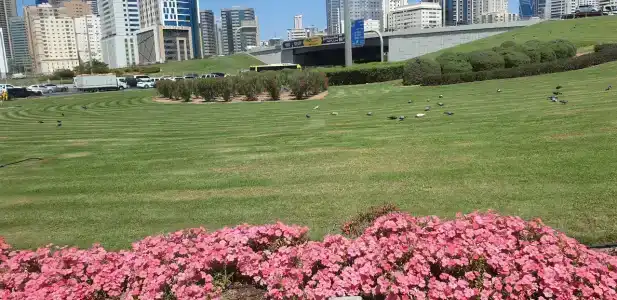 Occidental Sharjah Grand - 86