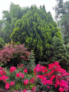 Grand Tien Shan - 88