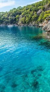 Selectum Luxury Door'a - 9