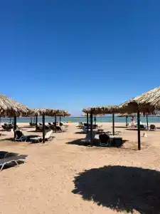 Steigenberger Alcazar - 42