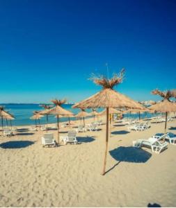 Sunny Fort Apartment - 80