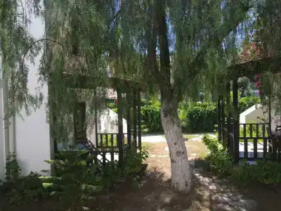 Salinas Bodrum - 32