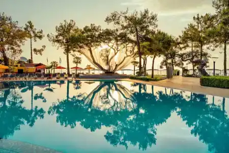 Robinson Camyuva - Adults Only - 9