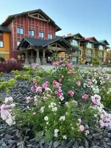 Park-EkoBel Kolbovichi - 4