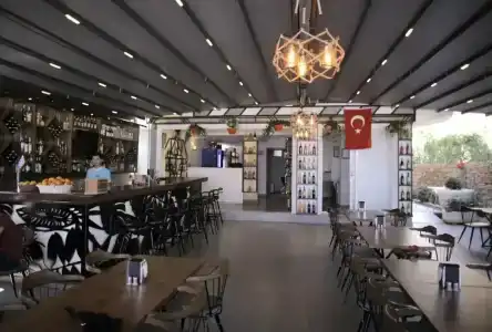 Cle Beach Boutique - 15