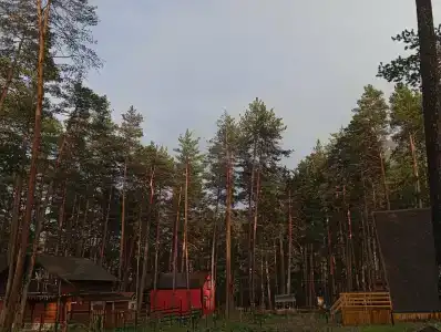 Сосновый Бор - 71