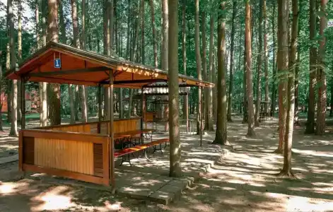 Nagornoe Holiday Home - 94