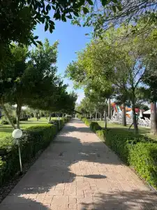 Andriake Beach Club - 35