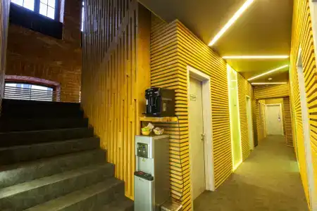 Wellion Baumansky - 75