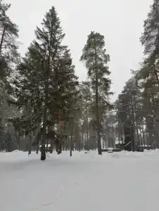 Черепашьи Озёра - 14
