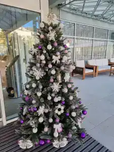 Plaza Spa Resort - 35