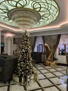 Butik-otel Magic harp - 36