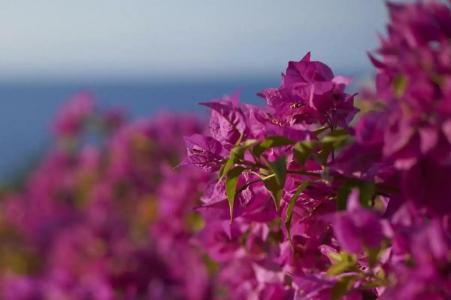 Mandarin Oriental, Bodrum - 39