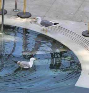 Conrad Bosphorus - 39