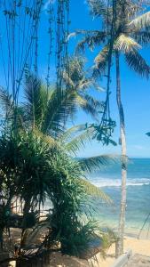 Cool Beach - 32