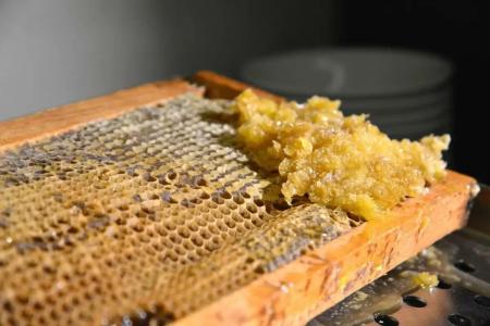 Rosslyn Central Park Sofia - 69