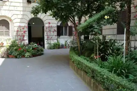 Elegance - 19