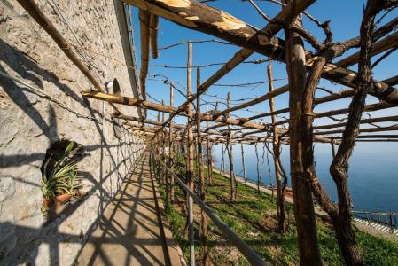Albergo Diffuso Bacco Furore - 25