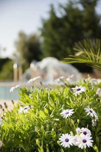Lu' Porto Pino - 5