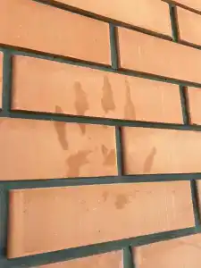 Tihaya Gavan Tourist base - 56