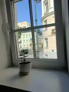 Vellion Smolensky - 35