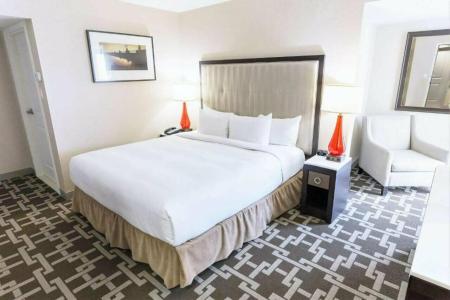 Hilton Niagara Falls/ Fallsview and Suites - 78