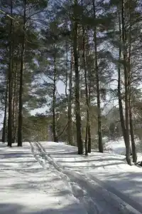 Knyazhyya Rechka Baza Otdykha - 81