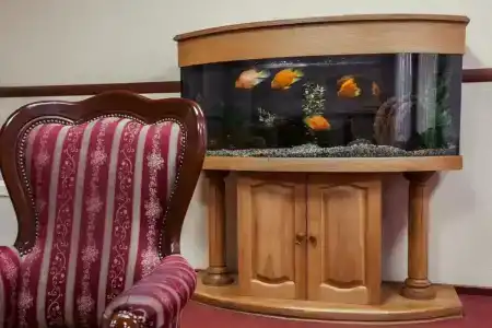 Vizit Guest House - 11