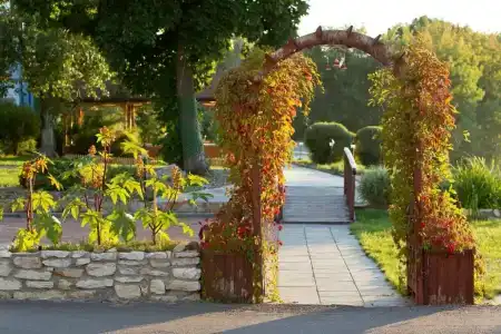 40-i Meridian Yaht-Klub - 34