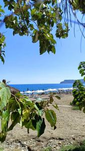 Saint Star Kemer - Adult Only +16 - 24