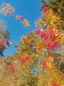 Komandor Recreation center - 69