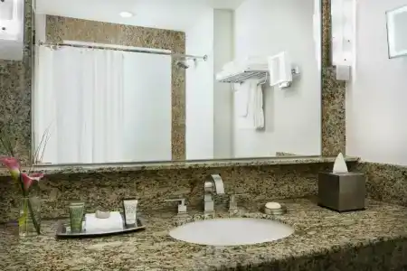 Lotte New York Palace - 13